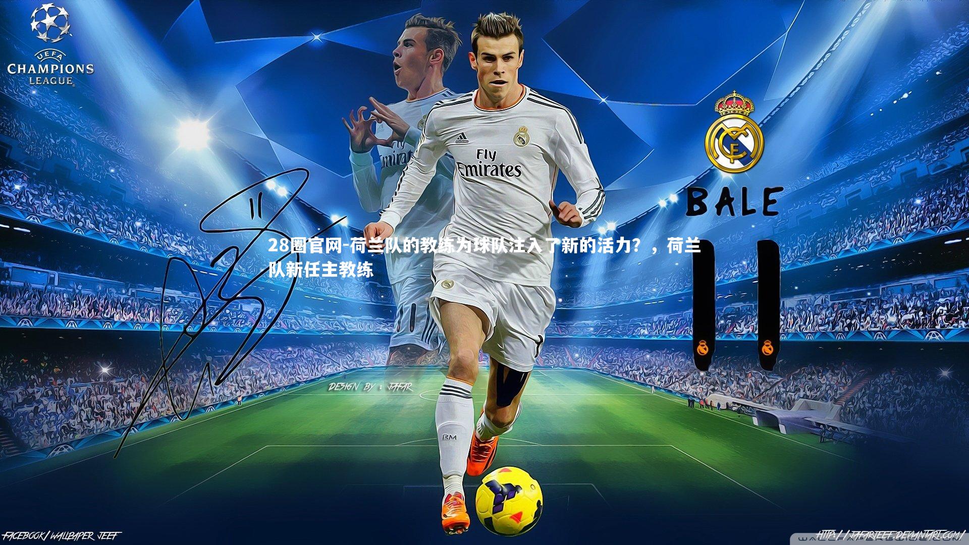 荷兰队的教练为球队注入了新的活力？，荷兰队新任主教练