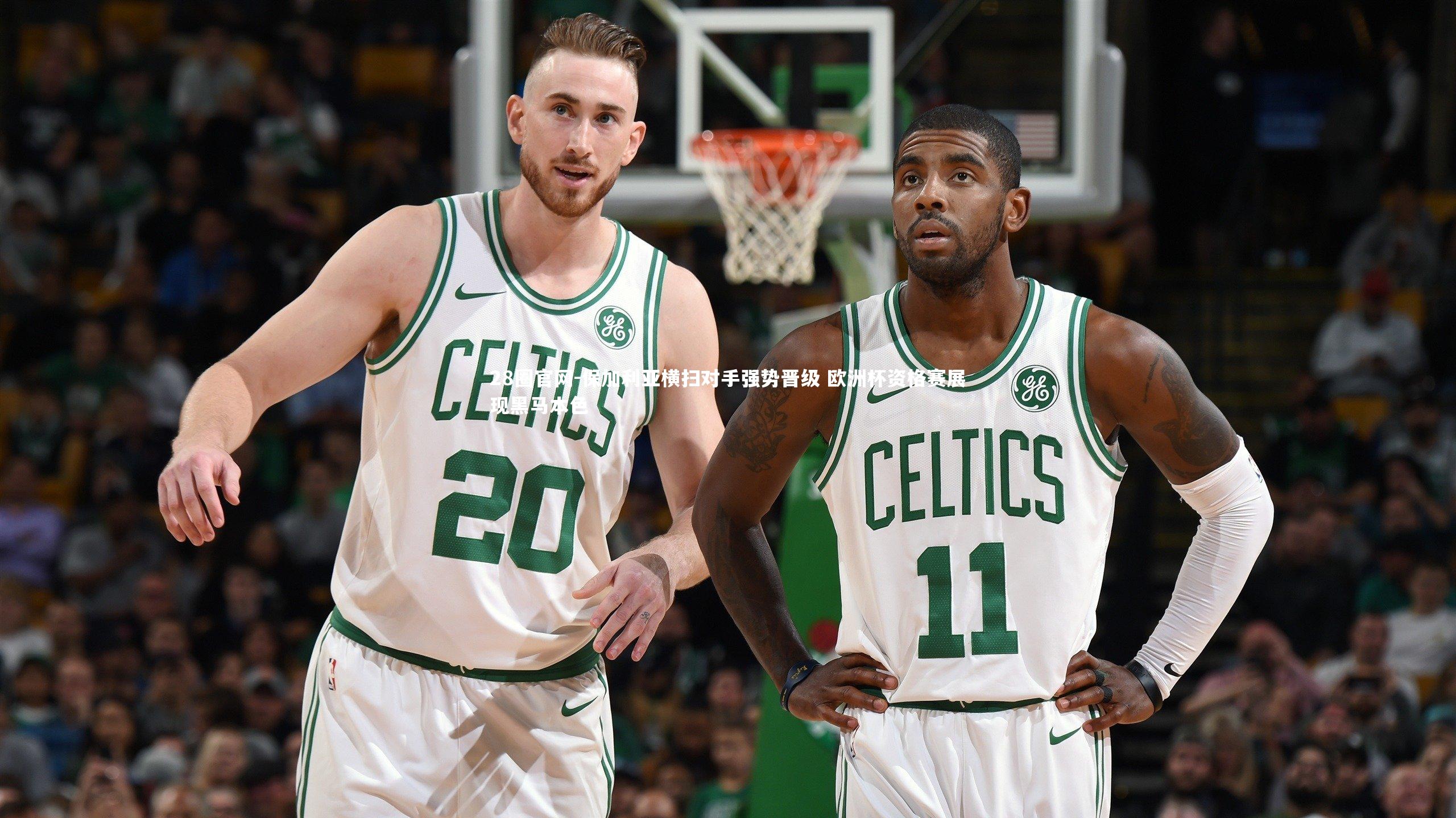 保加利亚横扫对手强势晋级 欧洲杯资格赛展现黑马本色