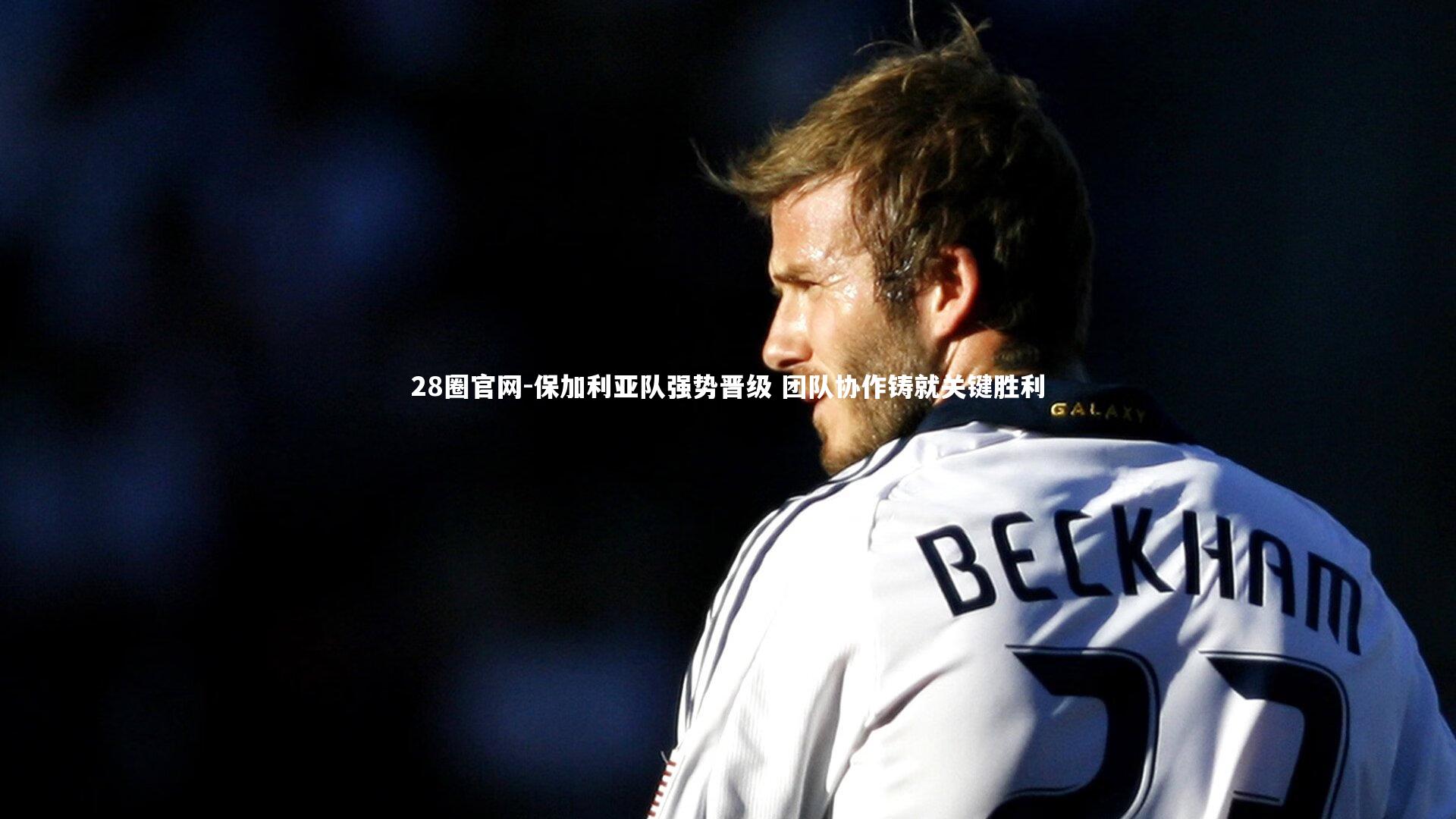 保加利亚队强势晋级 团队协作铸就关键胜利